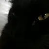 .m3nt4lly.ill