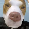 rodrigodavanco5