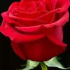 md.sumon9493