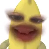 a_liiii_xna