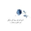 heba.sahl