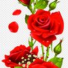 userg3kts61tgn