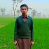 qamarshahzad708