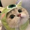 beo.tran28