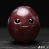 zoacccc