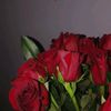 user5396871203337