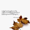 nay.zaw.aung057