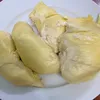 saurieng101
