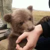 tnghilamotconnguoi