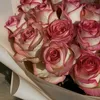 its.al_fatima