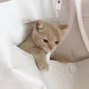 なしおとちゃん