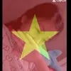 nguenanhvu25
