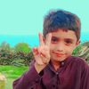 bostan523