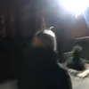 myprivattrash