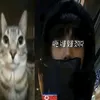 dead_insideghool