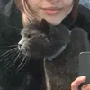 kattkitt0