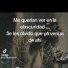 la.negra335