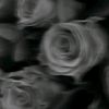 tiktok.comsetusername57