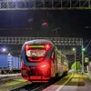 тапок из ковдора