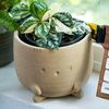 Hipyo Plants