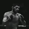 khabib_228