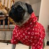 Goofy_thepug