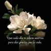 user46338340119710