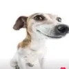 buomhongcute_00