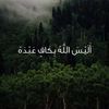 user6615391881536