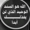 user7970036191526