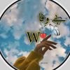 ws22336