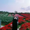 nd_lyzh
