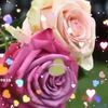 user91634220080511