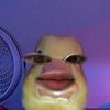 aicilaicii