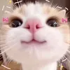 nguylinh180