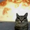 bao_free_fireob1