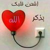 user2554452639588