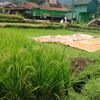 soleh0241