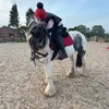 eq_olivia0