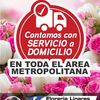 florerialinaressu