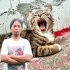 tisnobrebes