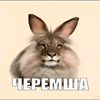 xrnmwqe