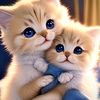 user2315684916107
