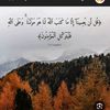 haneen.sayed398