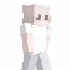 dxmy_roller