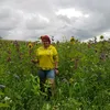 lisalana2603