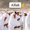 shalele667