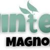 mintedmagnolia.com