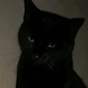 Funny.guffws