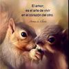 ana.aguilar310